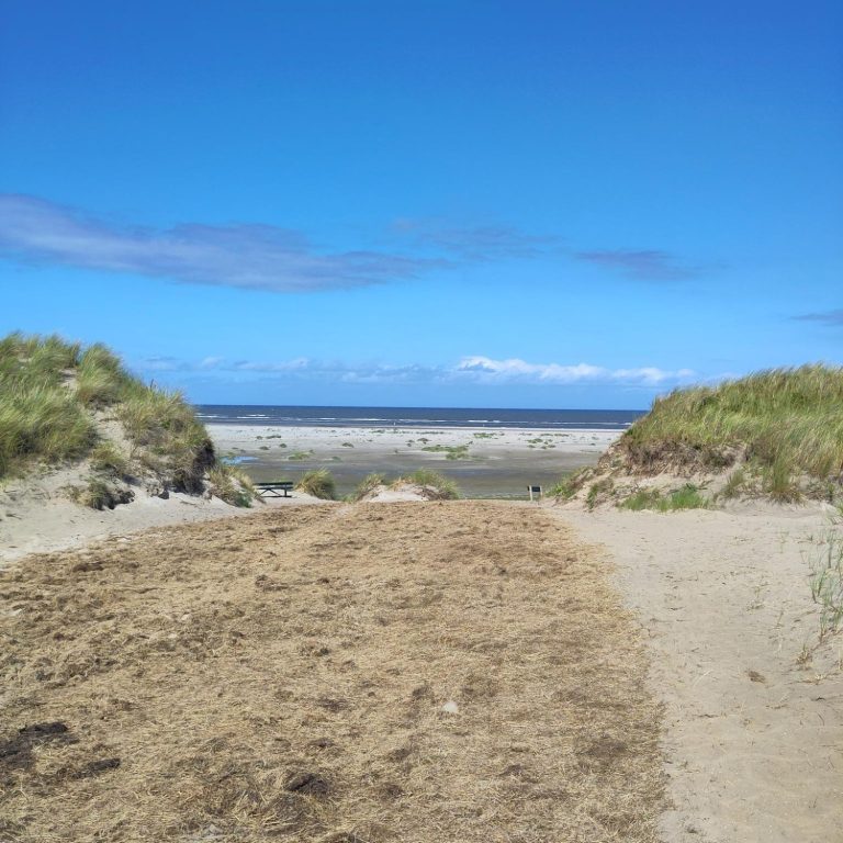 Dünen, Strand und Meer von Ameland